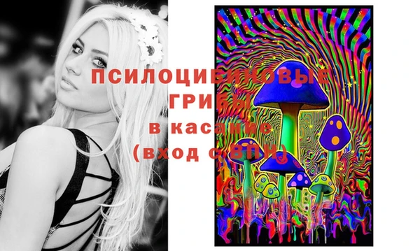 винт Беломорск