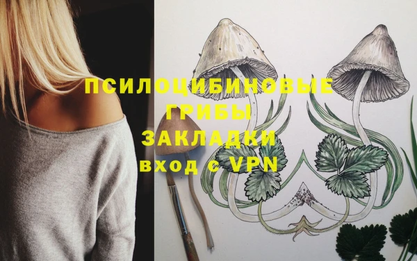 ешки Белоозёрский