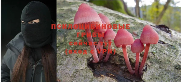 a pvp Белокуриха