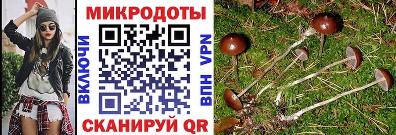 Псилоцибиновые грибы MAGIC MUSHROOMS  купить наркоту  mega tor  Монино 